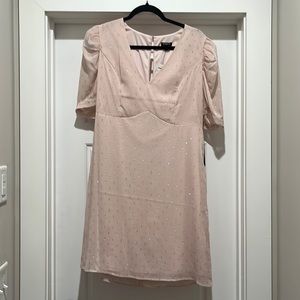 NWT Express Pink Dress